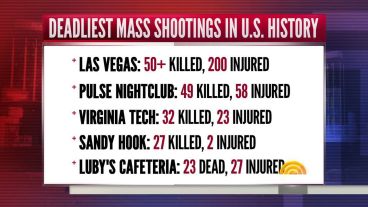mass shootings.jpg